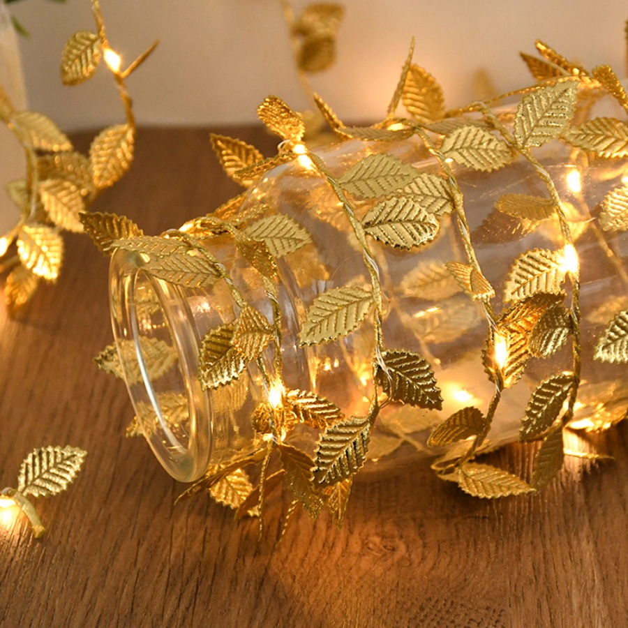 Outdoor Power Wire - Luzes de Fada com Cordão de